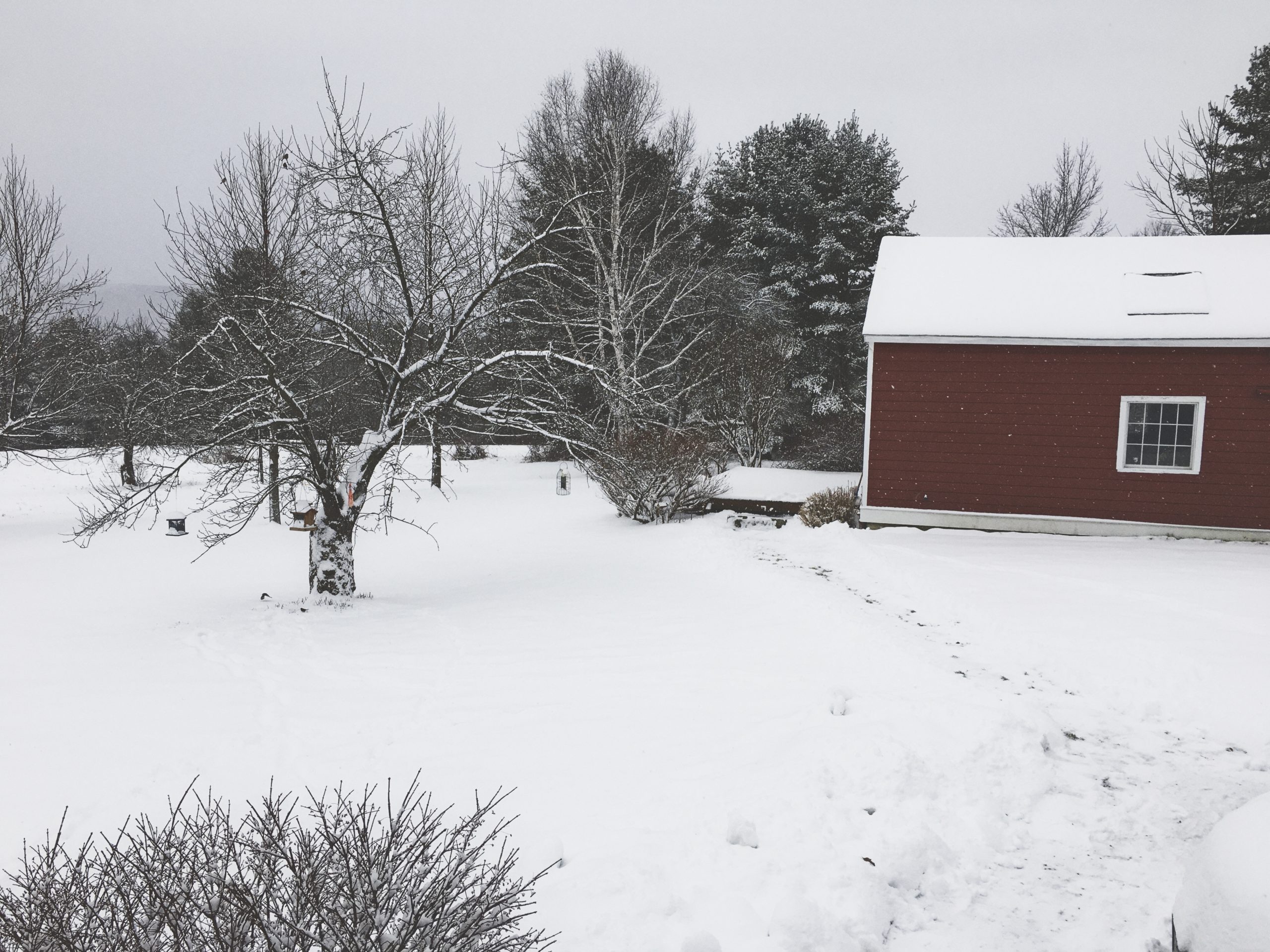 OrchardHouse_winter